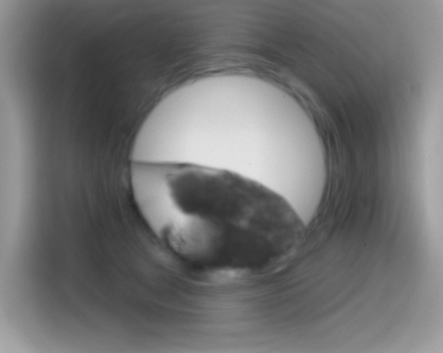 X0000114440465200910161055