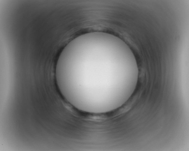 X0000114440466200910161055