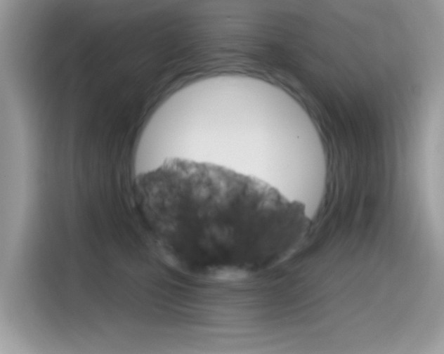 X0000114440471200910161055