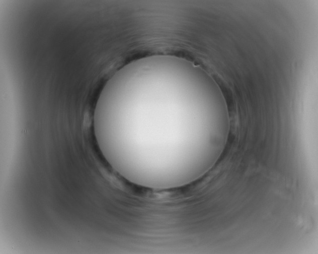 X0000114440472200910161055