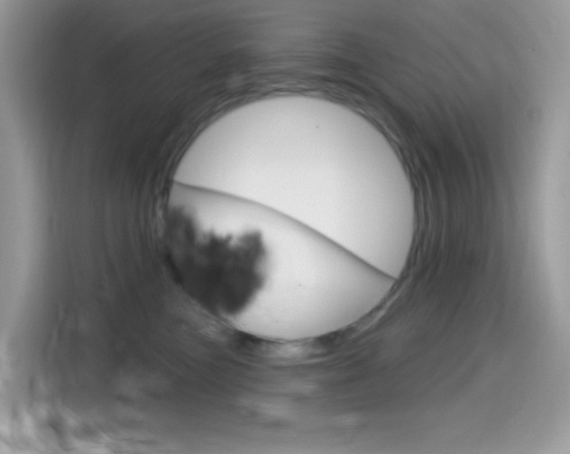 X0000114440473200910161056