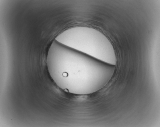 X0000114440474200910161056