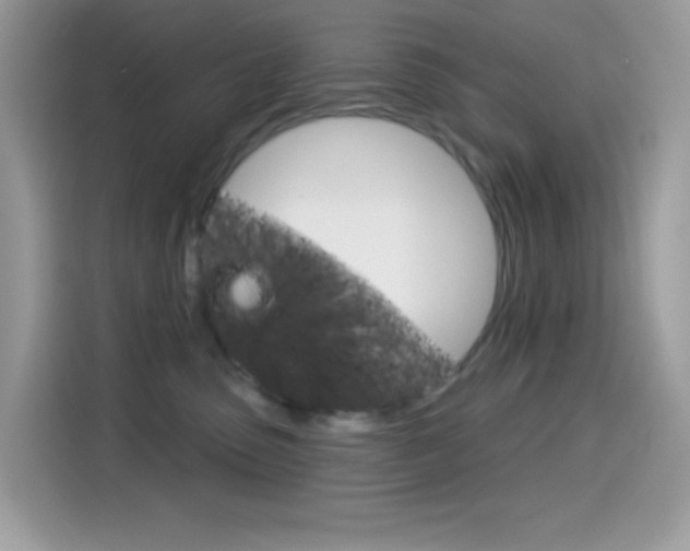 X0000114440475200910161056