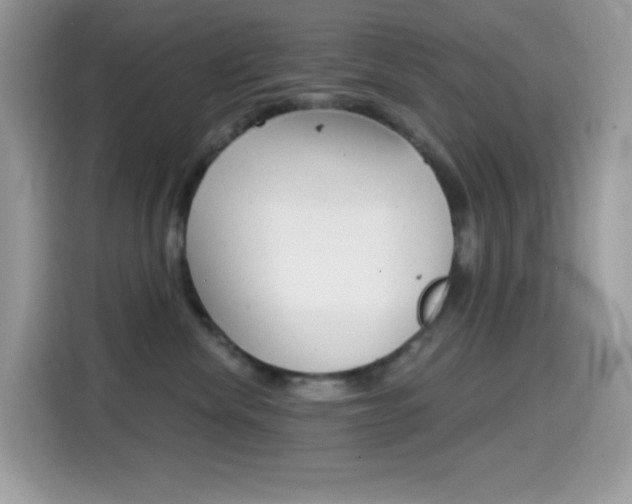 X0000114440476200910161056