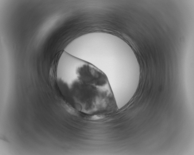 X0000114440477200910161056
