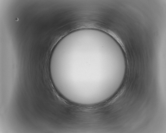 X0000114440481200910161055