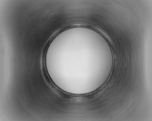 X0000114440482200910161055