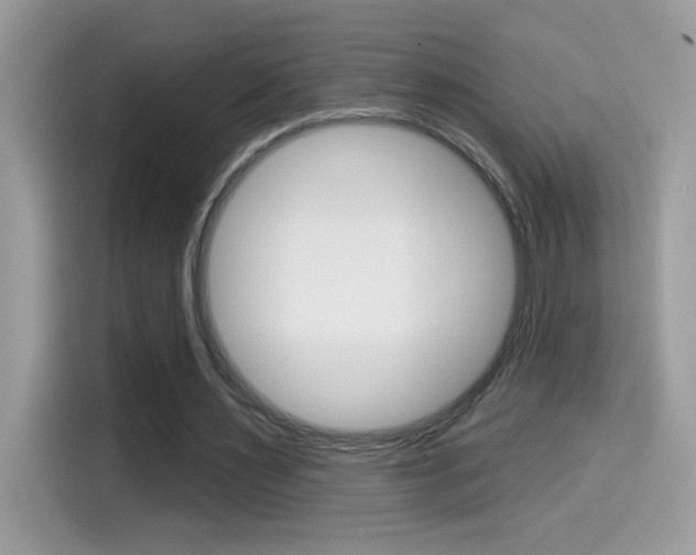 X0000114440483200910161055