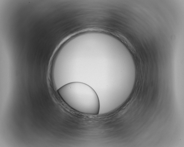 X0000114440484200910161055