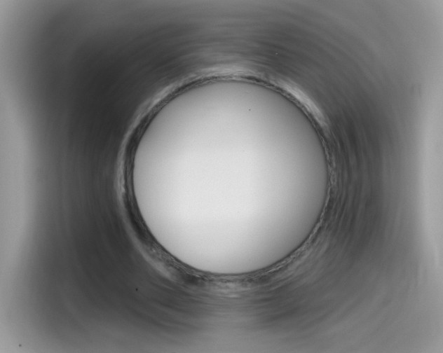 X0000114440486200910161055