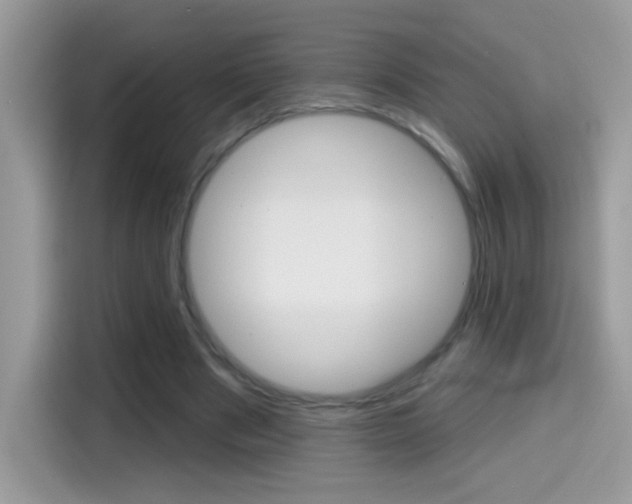 X0000114440489200910161055