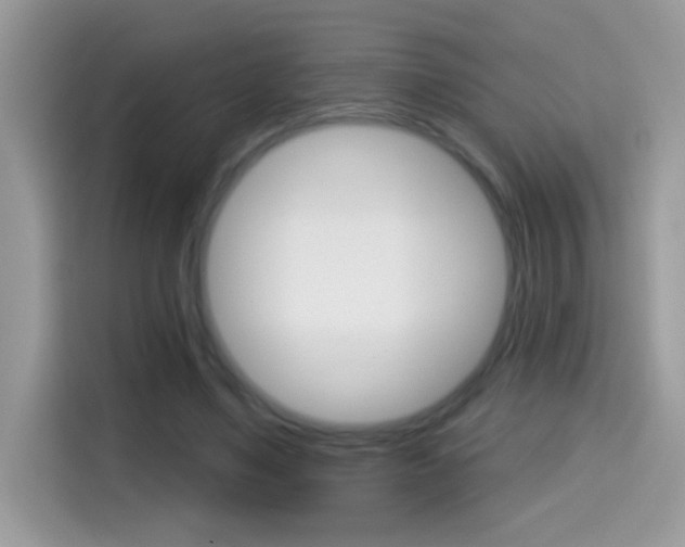 X0000114440491200910161055