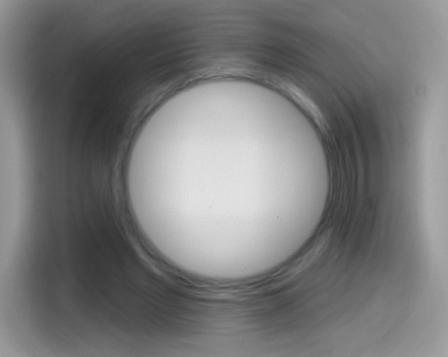 X0000114440493200910161055