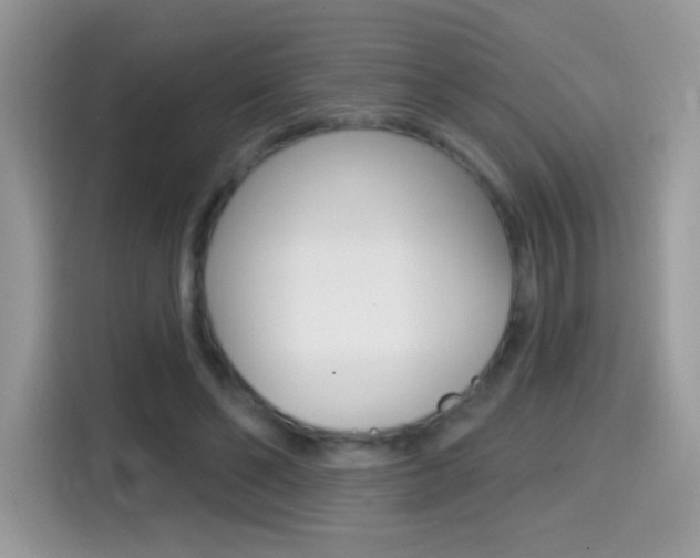 X0000114440494200910161055