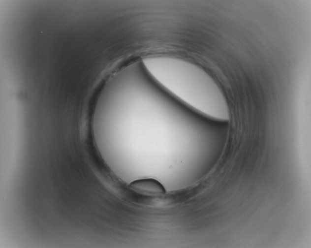 X0000114440496200910161055