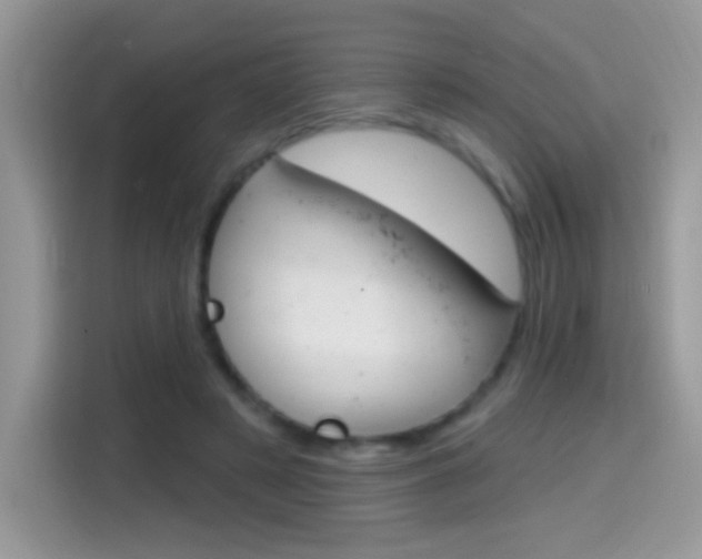 X0000114440497200910161055
