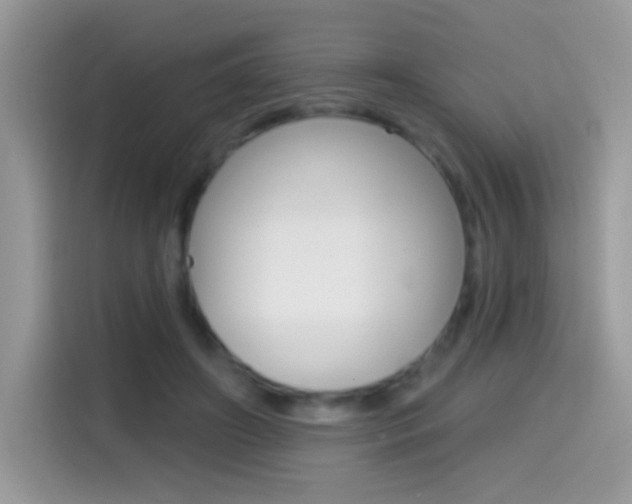 X0000114440498200910161055