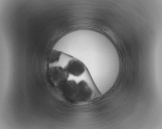 X0000114440499200910161055