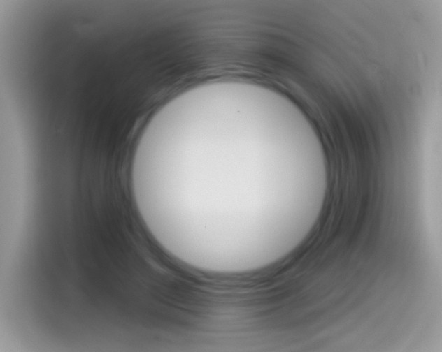 X0000114440500200910161055