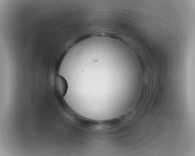X0000114440504200910161055