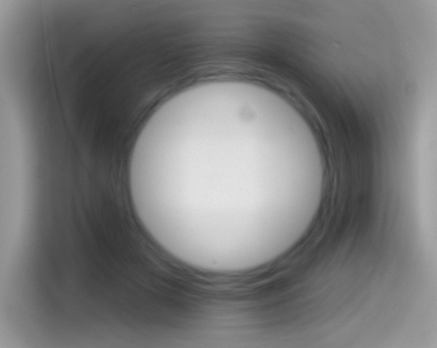 X0000114440505200910161055