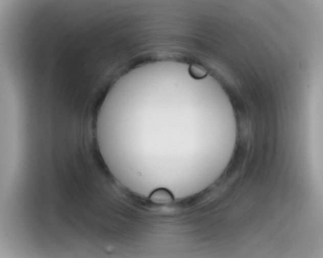 X0000114440506200910161055