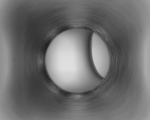 X0000114440507200910161055