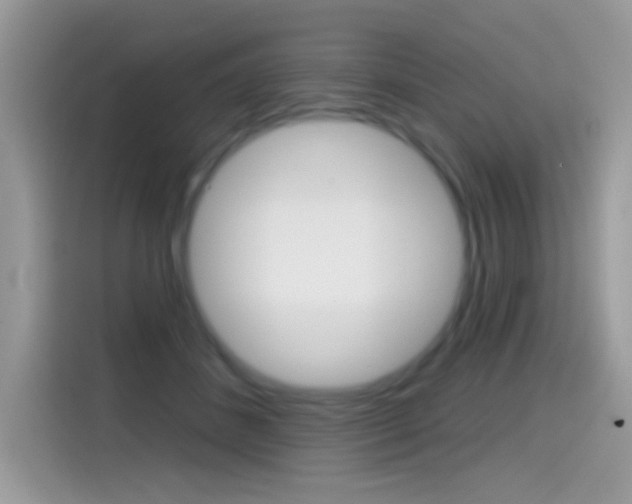 X0000114440508200910161055