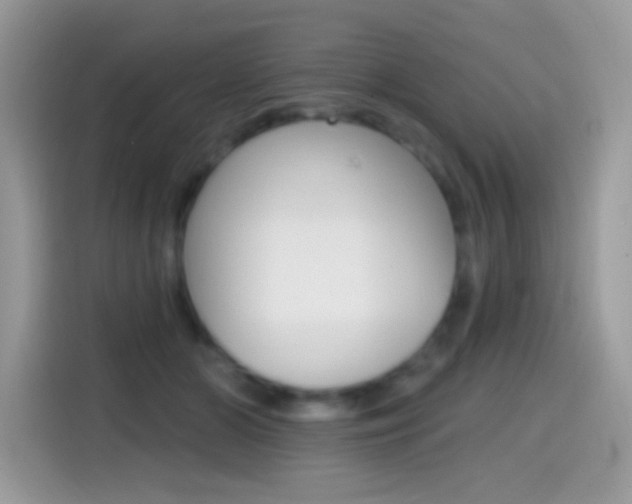 X0000114440510200910161055