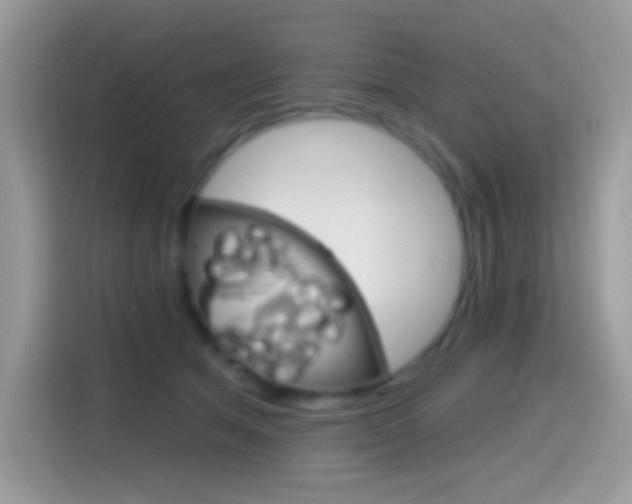 X0000114440513200910161055