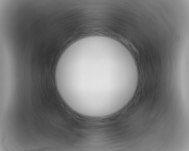 X0000114440517200910161055