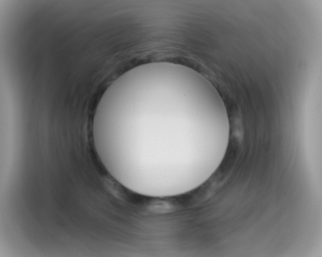 X0000114440519200910161054