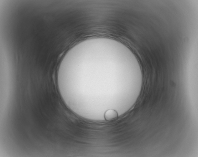 X0000114440520200910161054