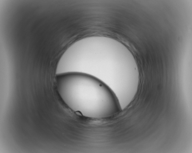 X0000114440521200910161054