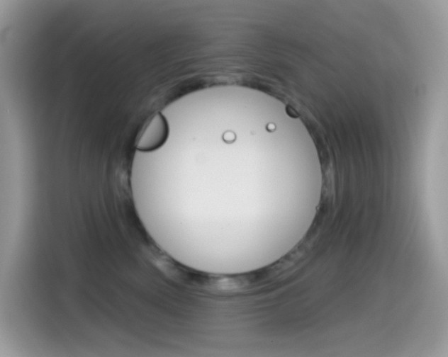 X0000114440522200910161054