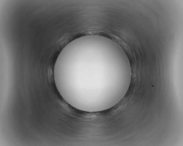 X0000114440523200910161054