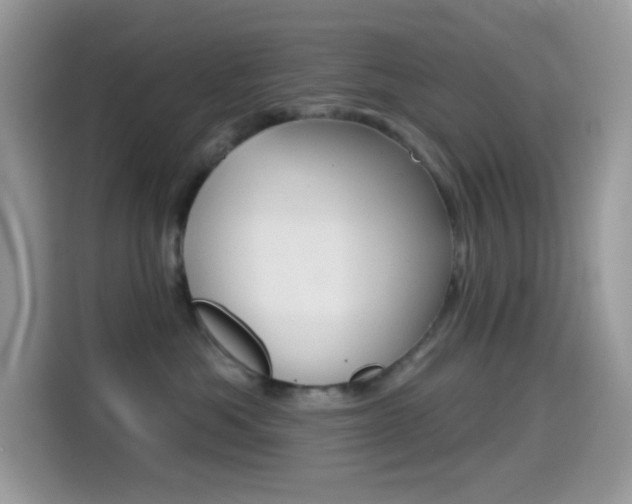 X0000114440525200910161054