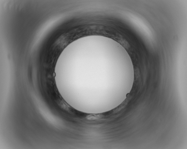 X0000114440526200910161054