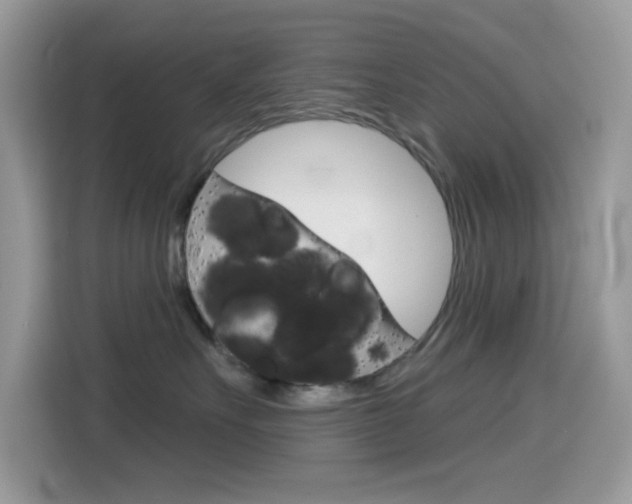 X0000114440527200910161054