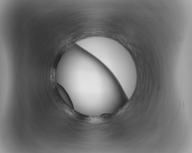 X0000114440528200910161054