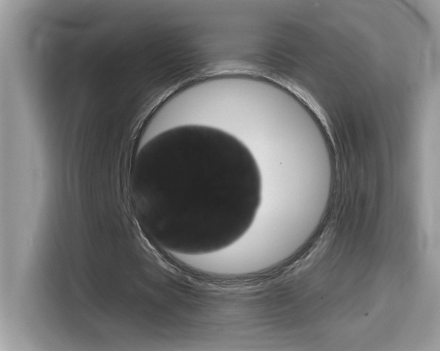 X0000114440529200910161054