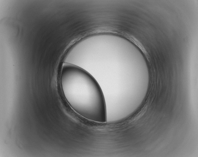 X0000114440530200910161054