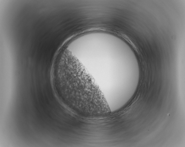 X0000114440531200910161054