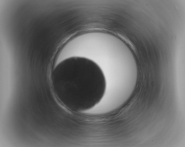 X0000114440533200910161054