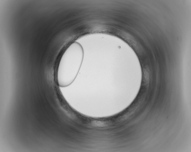 X0000114440534200910161054