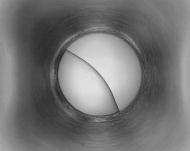 X0000114440535200910161054