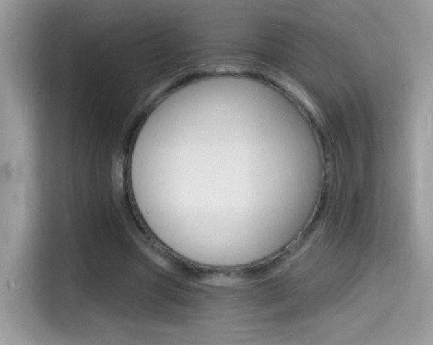 X0000114440537200910161054