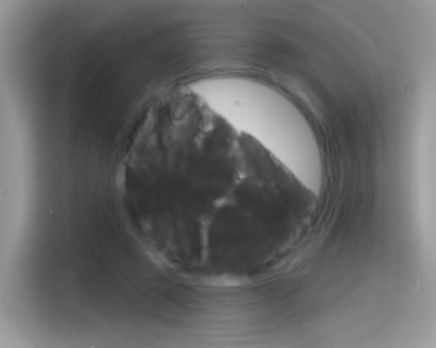 X0000114440545200910161054