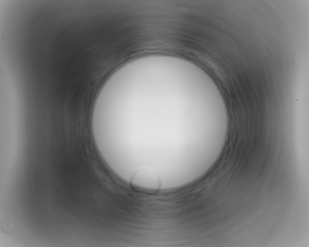 X0000114440546200910161054