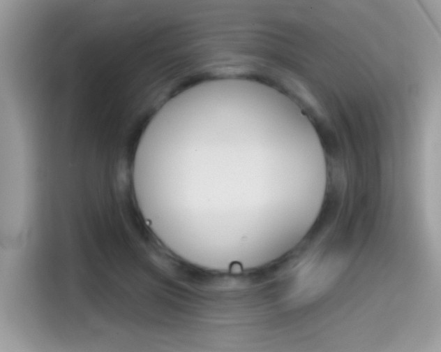 X0000114440549200910161054